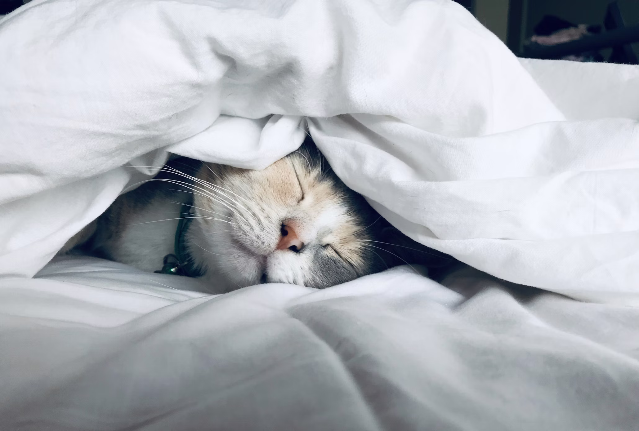 Restful sleep